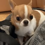 Eve Davidson - @evedavidson71 - Instagram