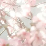 ℰ𝓋ℯ - @eve_davidson - Instagram