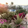 evedooley31 - @evedooley31 - TikTok