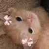 eve.flores - @eve.flores98 - TikTok