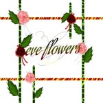 Maria Santana - @_eve_flowers_ - Instagram