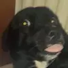 evefoley - @eve_foley - TikTok