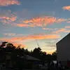 maeve - @maevefoleyy1 - TikTok