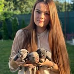 ФРАНЦУЗЬКИЙ БУЛЬДОГ | ПУДЕЛЬ ТОЙ | КАРЛИКОВИЙ ПУДЕЛЬ🐾 - @our_best_friends_ever - Instagram