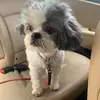 eve.best.friends - @eve.best.friends - TikTok