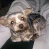 Evelyn Grubb375 - @evelyngrubb375 - TikTok
