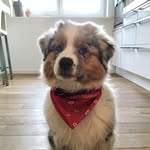 Eveguy - @eveguy57 - Instagram