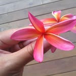 guyet - @eveguyet - Instagram