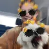 Eve Hanson - @eve_hanson6 - TikTok
