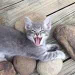 Eva Hatfield - @evahatfield20 - Instagram