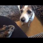 Eva hatfield - @evahatfield39 - Instagram