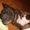 Eve hay - @eve.hay6 - TikTok