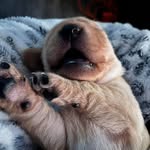 Eve Hermann - @eve.hermann.39 - Instagram