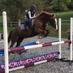 Eva Herring - @eva_jago_jack - Instagram