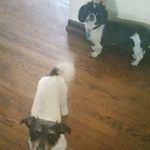 Evelyn Herring - @evelynherring - Instagram