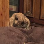 Eve Hill - @eve4761 - Instagram