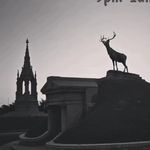 EveHill - @evehillproductions - Instagram
