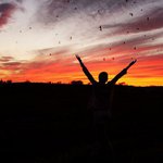 Eva Hodges - @evahodges - Instagram