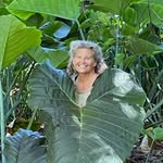 Eve Hogan - @sacredgardenmaui - Instagram