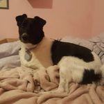 Eve holman - @eve_skye_holman - Instagram