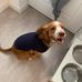 Evie Howe - Facebook