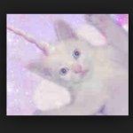 Morgan Eve Howell - @howellmo2022 - Instagram