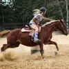 Evie Huffman - @evie_pippa - TikTok