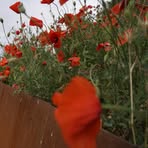 Eve Hurst - Facebook