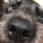 ʜʏᴅᴇ & ᴇᴠᴇ - @hyde_and_eve - Instagram