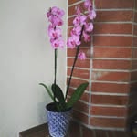 D' Todito - @evekrause72 - Instagram
