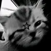 ♡evelyn.r.k♡ - @evelyn_krause - TikTok