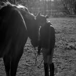 Eve Bacher-Lapierre - @evi_horse - Instagram
