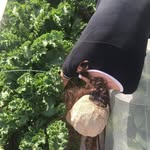 Ève Lapierre - @en_minuscule - Instagram