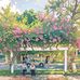 Larkin Everettm - Facebook