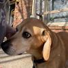 Eve Long - @eve_long - TikTok