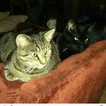 Eve.Meade - @eve.meade12 - Instagram