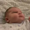 Evie Montgomery - @evie.montgomery0 - TikTok