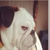 Eve Morrison - @eve.morrison60 - TikTok