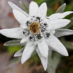 Eve - @eve_olsen1959 - Instagram