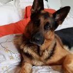 Eve Pike - @pikeeve - Instagram