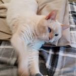 Eve Pike - @elpike4557 - Instagram