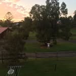 Eve and Piper - @dayboro.nature - Instagram