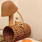 Evelyn - @eve_postcardswap - Instagram