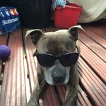 Eve - @evepowell60 - Instagram