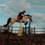 Eve Powell - @eve._.eventing - Instagram