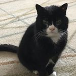 Eve Purdy - @eve.purdy.77 - Instagram