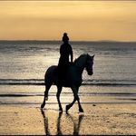 Purdy Lenigas - @purdy_eventing - Instagram