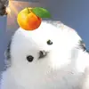 インコってイイコ - @evequick1052 - TikTok