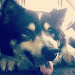 evequick - @eveandfynn - Instagram