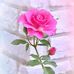 Eve Ramos - Facebook